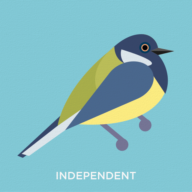 Independent blue tit
