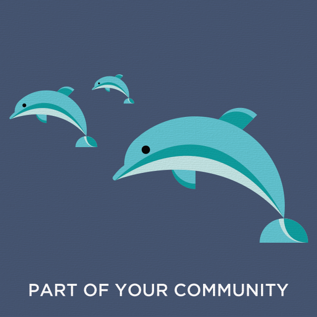 Dolphin community