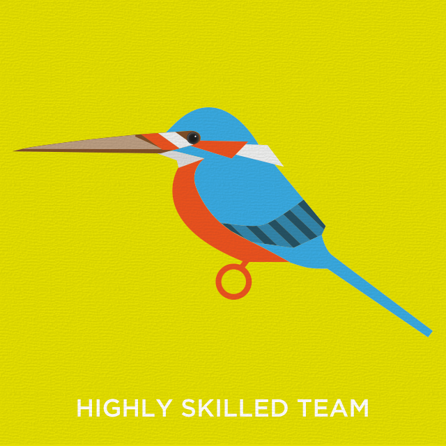 Skilled kingfisher